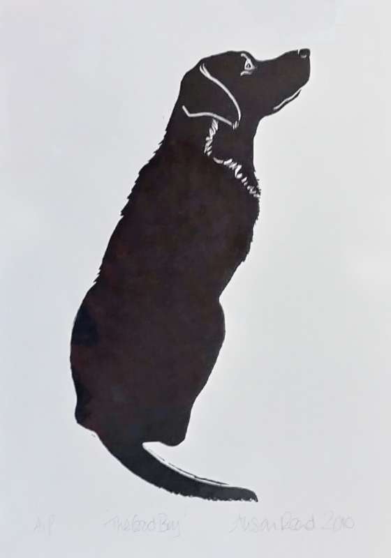 Good Boy